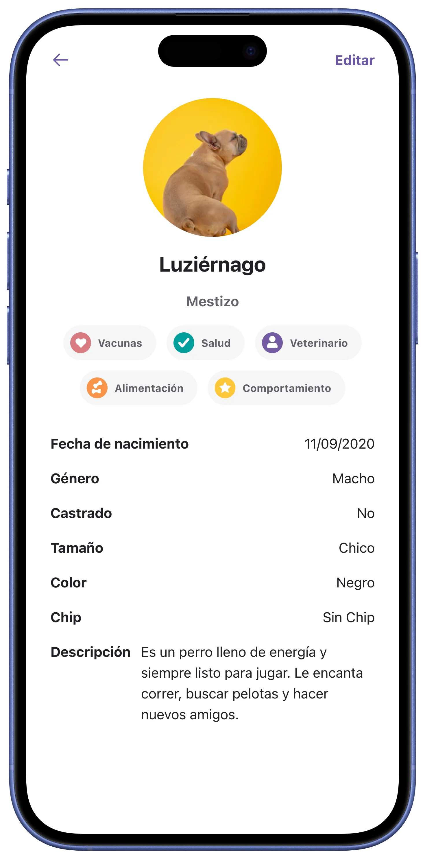 Perfil de las mascotas y clientes