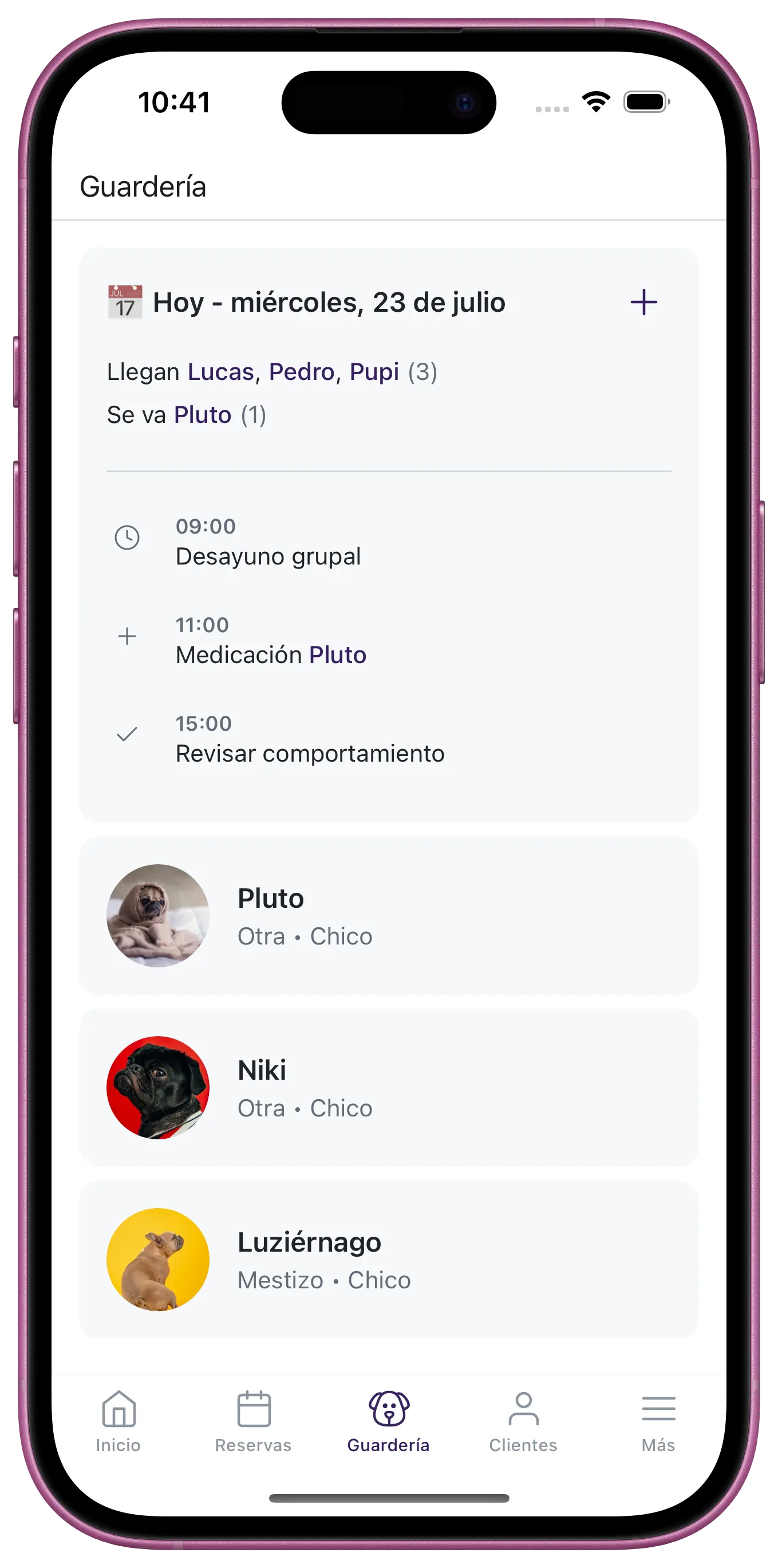 Gestiona las tareas
