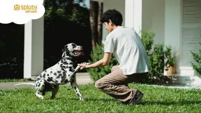 Cómo liberar tiempo en la gestión de tu negocio petfriendly